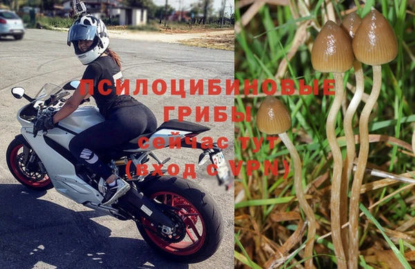 молекула духа Алексеевка