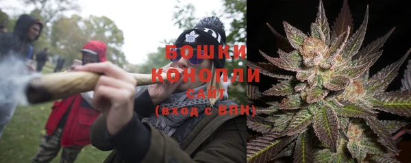 стафф Осташков
