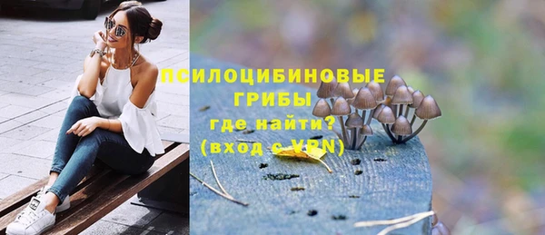 молекула духа Алексеевка